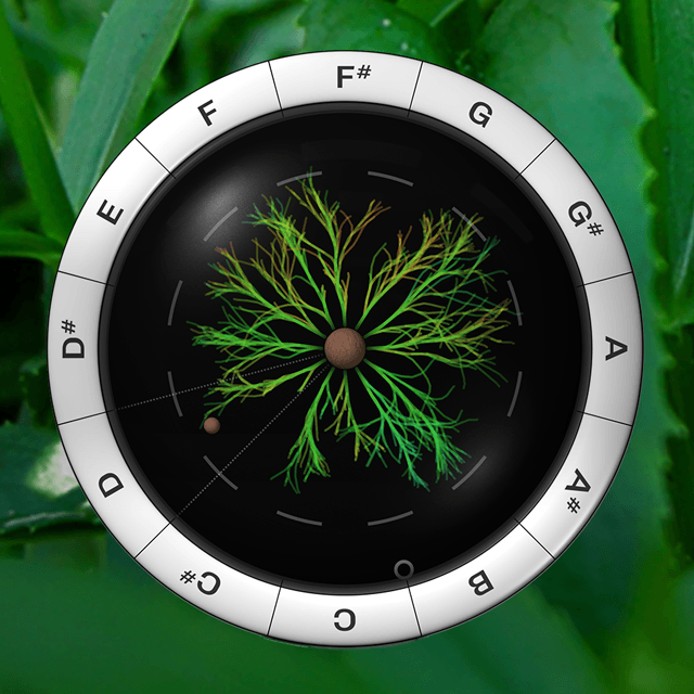 Synplant 2 – Synth