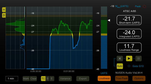 VisLM – Metering
